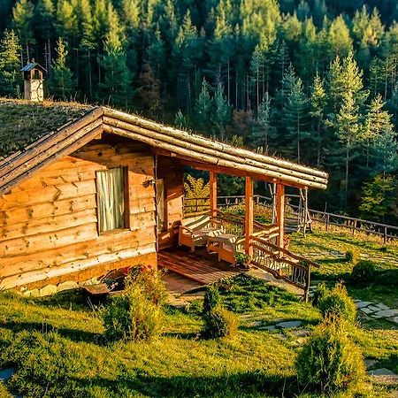 Панорама Хаус Лещен И Еко Къщи Дървена И Землянка ภายนอก รูปภาพ