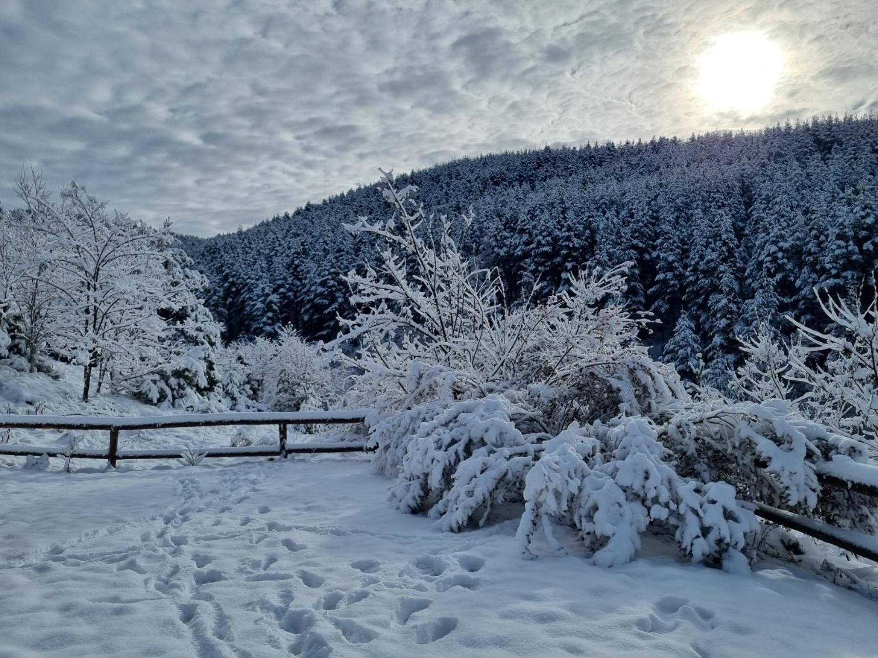 Панорама Хаус Лещен И Еко Къщи Дървена И Землянка ภายนอก รูปภาพ
