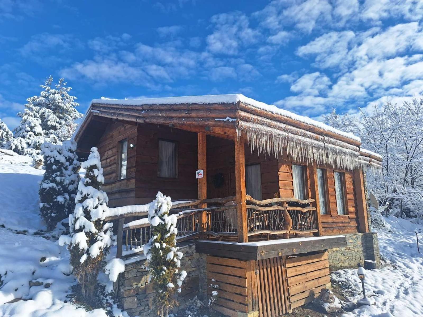Панорама Хаус Лещен И Еко Къщи Дървена И Землянка ภายนอก รูปภาพ