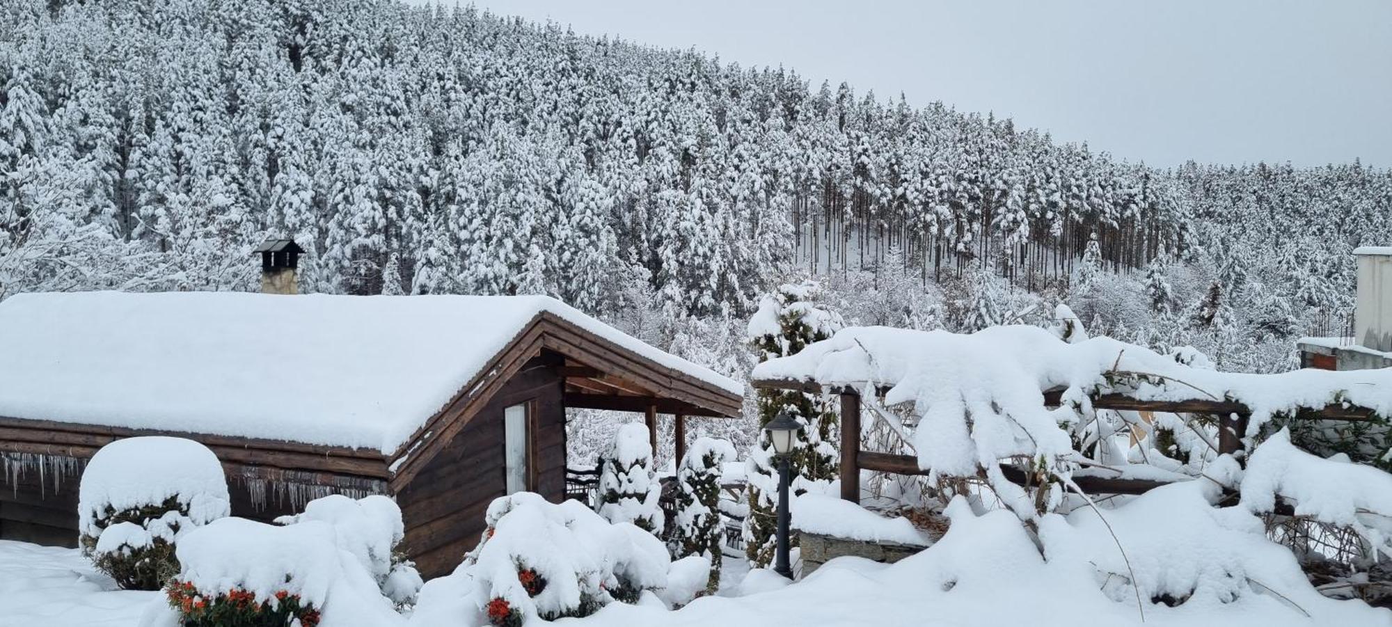Панорама Хаус Лещен И Еко Къщи Дървена И Землянка ภายนอก รูปภาพ