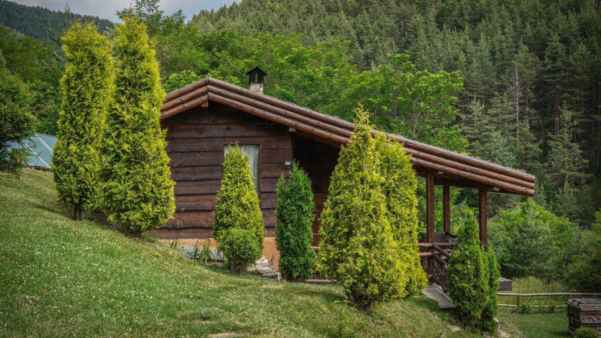 Панорама Хаус Лещен И Еко Къщи Дървена И Землянка ภายนอก รูปภาพ