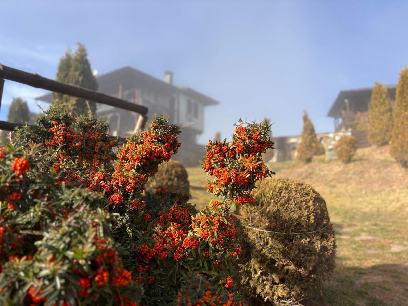 Панорама Хаус Лещен И Еко Къщи Дървена И Землянка ภายนอก รูปภาพ