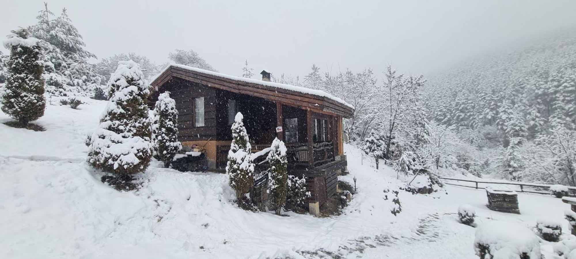 Панорама Хаус Лещен И Еко Къщи Дървена И Землянка ภายนอก รูปภาพ