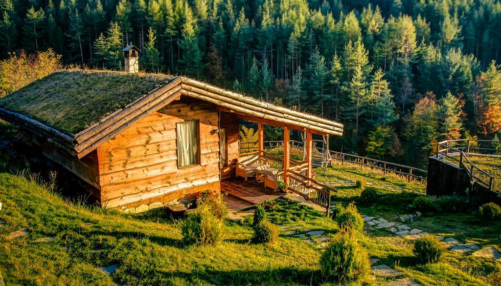 Панорама Хаус Лещен И Еко Къщи Дървена И Землянка ภายนอก รูปภาพ